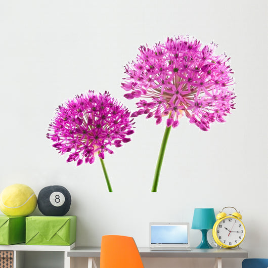 Allium Purple Sensation Flower Wall Decal