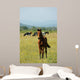 Foal Redhead Pasture Wall Decal
