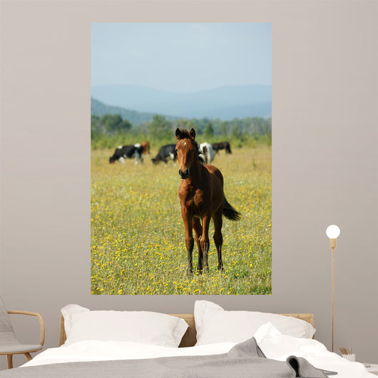 Foal Redhead Pasture Wall Decal