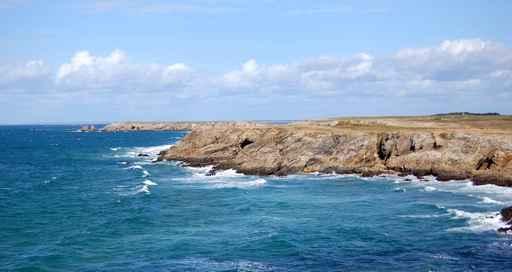 Wild Coast Quiberon Wall Decal