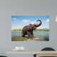 Elephant Washing River Wall Decal