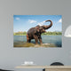 Elephant Washing River Wall Decal