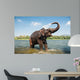 Elephant Washing River Wall Decal