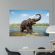 Elephant Washing River Wall Decal