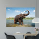 Elephant Washing River Wall Decal