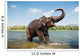 Elephant Washing River Wall Decal