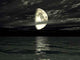 Moonlight Reflecting Sea Wall Decal