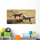 Cheetah Cubs Play on Log Wall Decal
