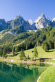 Alpine Lake Scenery Summer Wall Decal
