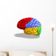 Schematic Human Brain Wall Decal