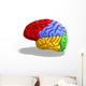 Schematic Human Brain Wall Decal