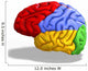 Schematic Human Brain Wall Decal