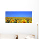 Sunflower Wall Decal