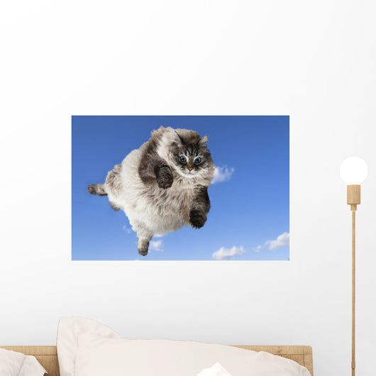 Funny Cat Levitate Blue Wall Decal