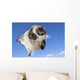 Funny Cat Levitate Blue Wall Decal