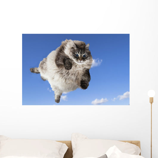 Funny Cat Levitate Blue Wall Decal