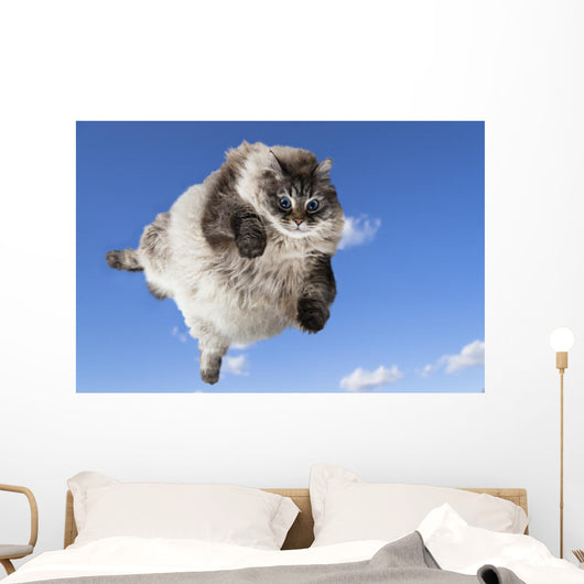 Funny Cat Levitate Blue Wall Decal