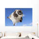 Funny Cat Levitate Blue Wall Decal