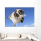 Funny Cat Levitate Blue Wall Decal