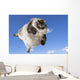 Funny Cat Levitate Blue Wall Decal