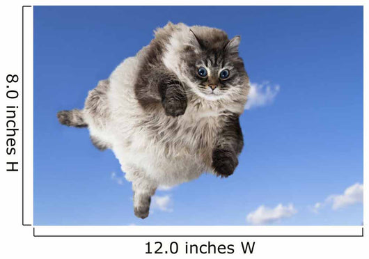 Funny Cat Levitate Blue Wall Decal