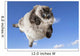 Funny Cat Levitate Blue Wall Decal