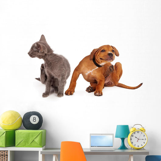 Kitten and Puppy Scratching Wall Decal