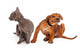 Kitten and Puppy Scratching Wall Decal