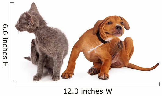 Kitten and Puppy Scratching Wall Decal