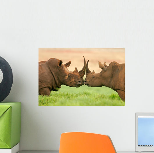 White Rhinoceros Wall Decal