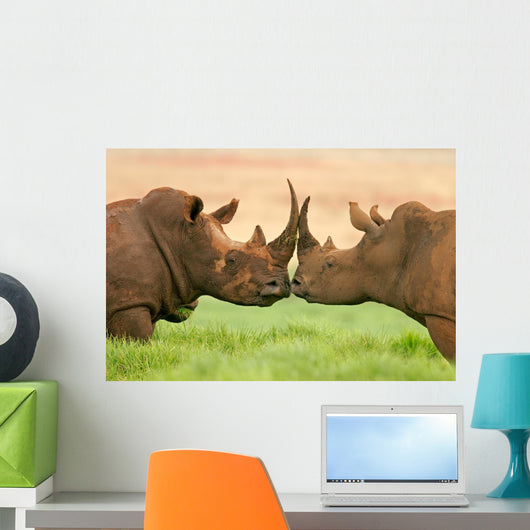 White Rhinoceros Wall Decal