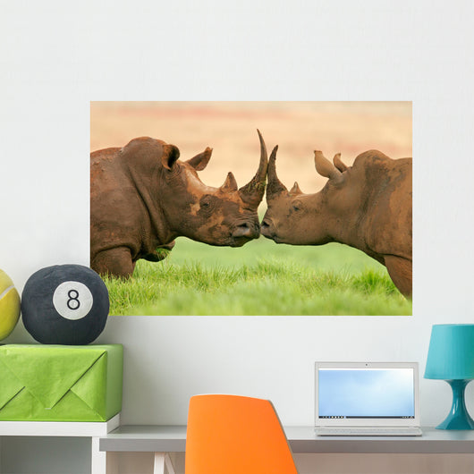 White Rhinoceros Wall Decal