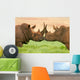 White Rhinoceros Wall Decal