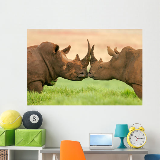 White Rhinoceros Wall Decal
