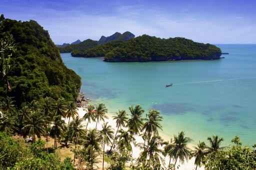 Thong National Park Wall Decal