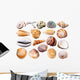 Various Mollusk Sea Shells Wall Decal Sticker Set
