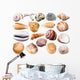 Various Mollusk Sea Shells Wall Decal Sticker Set