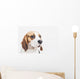 Head Tricolor Beagle Dog Wall Decal