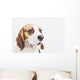 Head Tricolor Beagle Dog Wall Decal