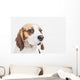 Head Tricolor Beagle Dog Wall Decal