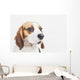Head Tricolor Beagle Dog Wall Decal