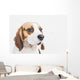 Head Tricolor Beagle Dog Wall Decal