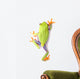 Red-eyed Tree Frog Wall Decal