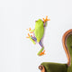 Red-eyed Tree Frog Wall Decal