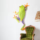 Red-eyed Tree Frog Wall Decal