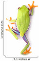 Red-eyed Tree Frog Wall Decal