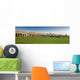 Aqueduct Ancient Roman Ruins Wall Decal Panoramic Wall Decal