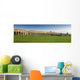 Aqueduct Ancient Roman Ruins Wall Decal Panoramic Wall Decal