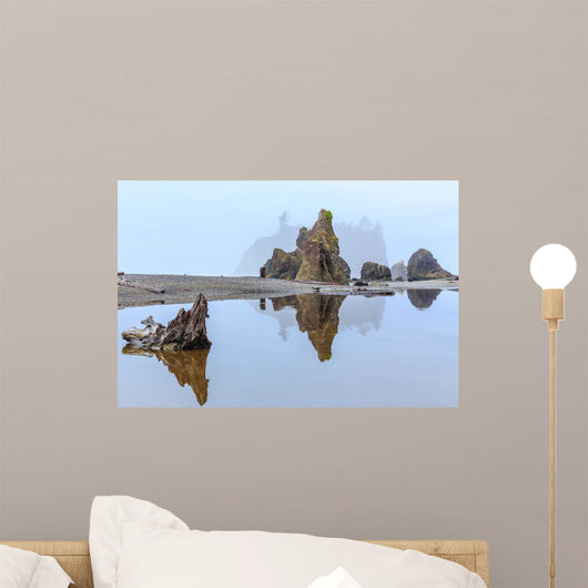 Foggy Morning Ruby Beach Wall Decal Design 2