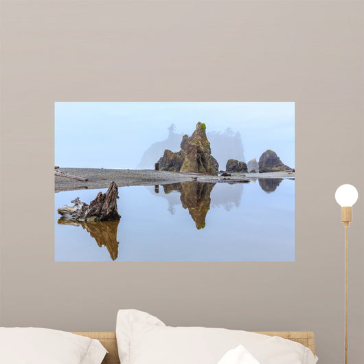 Foggy Morning Ruby Beach Wall Decal Design 2